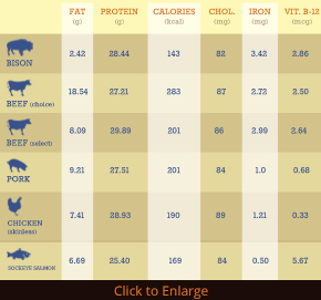 Bison Meat Nutrition and Health Facts